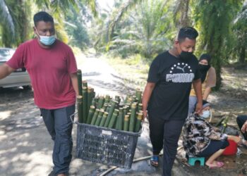 AHLI keluarga Baharuddin Mustapa mengangkat buluh yang baru ditebang untuk dibersihkan dan dibuat lemang menjelang Aidilsdha. - UTUSAN/AIN SAFRE BIDIN