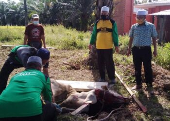 NOOR Azmi Ghazali (kanan) ketika program korban sempena AidilAdha di Kampung Parit Air Itam,  Bagan Serai hari ini. - UTUSAN/WAT KAMAL ABAS