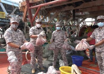 ANTARA hasil laut yang dirampas daripada empat bot nelayan Vietnam yang menceroboh perairan Kuala Terengganu di jeti Agensi Penguatkuasaan Maritim Malaysia (Maritim Malaysia) di Kuala Terengganu.