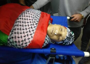 MOHAMMED MUNIR AL-TAMIMI