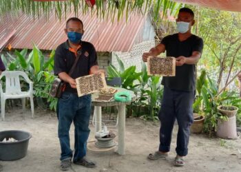 PENDUDUK menunjukkan lalat yang diperangkap di Kampung Tualang, Beruas hari ini. - UTUSAN/SHAMSUL KAMAL AMARUDIN
