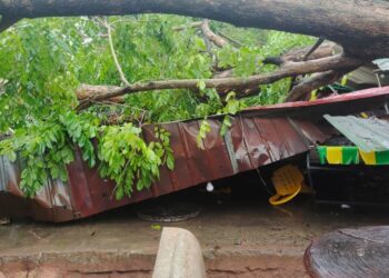 SALAH sebuah kedai yang rosak teruk selepas dihempap sebatang pokok sena yang tumbang dalam kejadian ribut di Taman Desa Meranti, Padang Temusu, Sungai Petani. - UTUSAN/ABD. RAZAK OSMAN