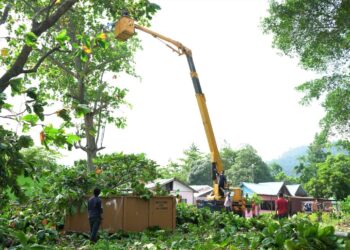KONTRAKTOR menjalankan kerja-kerja memangkas pokok sebagai persediaan untuk membina PPSN Sungai Batu, Pulau Pinang yang baharu sebagai pengantara antara rakyat dan kerajaan negeri berhubung projek PSR.