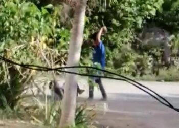 TANGKAP layar video pergaduhan dua lelaki di Mexico namun didakwa berlaku di Rembau.