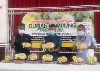 AZMAN Ibrahim (tengah) memegang durian ‘mok wok’ dari Lingai, Kuala Nerus yang muncul juara dalam Pertandingan Durian Kampung Premium Terengganu di Kompleks Pertanian Ajil, Hulu Terengganu semalam. -UTUSAN/ NOOR HAYATI MAMAT