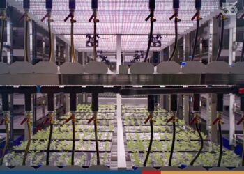 PROJEK percubaan menghasilkan vaksin daripada tembakau dilancarkan di Bangkok. -THENATION