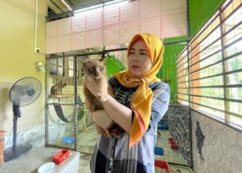 NAZIBAH YAACOB bersama kucing kesayangannya bernilai RM6,000 di rumahnya di Taman Darul Salam, Pasir Puteh, Kelantan. - UTUSAN/TOREK SULONG