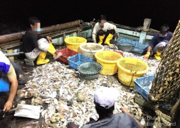 NELAYAN warga asing yang ditahan ketika menangkap hasil laut di perairan Pulau Tiga, Kuala Penyu, Sabah. - IHSAN PGA SABAH