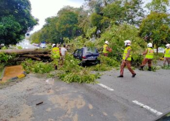 KEADAAN kereta Perodua Kancil yang dihempap pokok di Hentian Rehat dan Rawat Batu Dua di Gerik. - UTUSAN/IHSAN JBPM