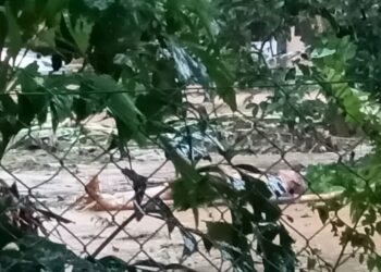 LELAKI warga emas yang dipercayai lemas ditemukan di Kampung Setoi, Yan.