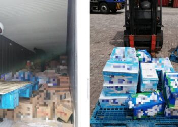 MAQIS menahan sebuah kontena membawa 200 kotak susu bernilai RM928.51 tanpa permit yang sah dari Dubak di Pelabuhan Klang Barat, Pelabuhan Klang, Selangor semalam.