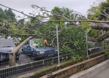 POKOK tumbang yang menghempap dua buah kereta di dewan MPKK di Sungai Siput. - UTUSAN/IHSAN JBPM PERAK