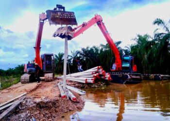 KERJA menanam cerucuk di kawasan ban RTB yang rebak di Kampung Parit Haji Kassim, Alor Pongsu dekat Bagan Serai ketika tinjauan baru-baru ini. - UTUSAN/WAT KAMAL ABAS