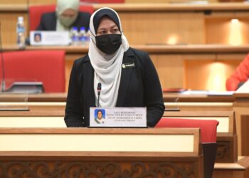 NOLEE ASHILIN MOHAMED RADZI