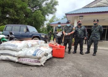 MD. Dali Jamil (dua dari kiri) menunjukkan sebahagian daripada daun ketum yang dirampas di Bukit Kayu Hitam, Kubang Pasu. - UTUSAN/ZAID MOHD. NOOR