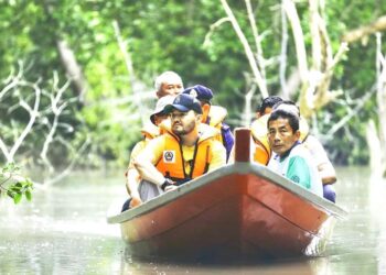 TENGKU Amir Shah menegaskan kawasan hutan paya gambut memainkan peranan yang penting dan nadi utama dalam penyerapan karbon bagi memastikan kadar pemanasan global dapat diatasi.