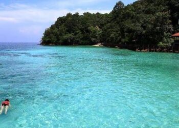 JUMLAH kemasukan pelancong di Taman Laut Pulau Payar, Kedah akan dihadkan seramai 100 pelancong sahaja pada setiap minggu.