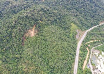 TINJAUAN Pertubuhan Pelindung Khazanah Alam Malaysia (Peka) menerusi dron mengesan aktiviti pembalakan berhampiran Lebuh Raya Kuala Lumpur-Karak (KLK) dalam kawasan Hutan Simpan Lentang di Bentong, Pahang. - GAMBAR/IHSAN PEKA