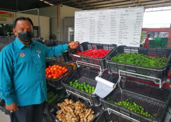 ABDUL Razak Khasbullah menunjukkan cili merah dan lain-lain barang basah yang masih dijual dengan harga berpatutan di Pasar Segar Terkawal, Pusat Pengumpulan Hasil Ladang Teluk Panglima Garang di Kuala Langat, Selangor