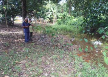 HALIM Mat Rejab (kiri) menunjukkan anak sungai di belakang rumahnya tertimbus dan air bertakung selepas kejadian kepala air di Kampung Telok Mat Acheh, Yan hari ini. - UTUSAN/OTHMAN YAHAYA