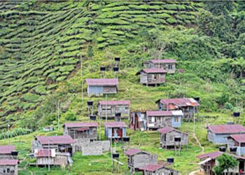 KAMPUNG Kuala Boh di Cameron Highlands antara lokaliti terbaharu dikenakan PKPD. - Foto media sosial