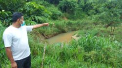 Rugi Rm100 000 Kelah Baung Kolam Terlepas Akibat Banjir Utusan Digital