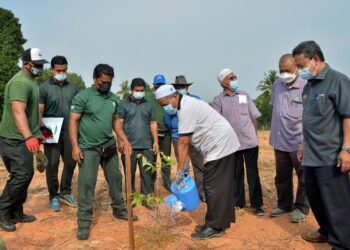 ARIFFIN Deraman (tengah) menyiram pokok selepas program penanaman Jabatan Perhutanan negeri bersama jawatankuasa pembangunan dan keselamatan kampung (JPKK) di Kampung Kepong, Kuala Terengganu, hari ini. - PUQTRA HAIRRY ROSLI