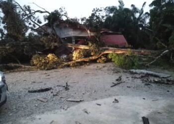 POKOK durian yang berusia 30 tahun yang menghempap rumah Mohammad Zakri Wagi dalam kejadian ribut di Kampung Parit Selangor, di Pontian, Johor.