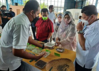 ZURAIDA Kamaruddin (dua kanan) melihat biji benih kenaf yang dibekalkan kepada penanam kenaf di Kedah dan Perlis di Pusat Pemprosesan Biji Kenaf, Jitra hari ini. - UTUSAN/MOHD. RIFAAT ABD. HAMID