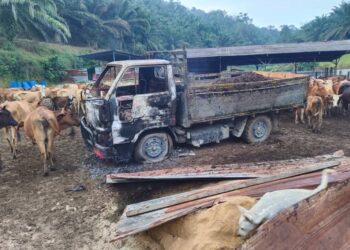 KEADAAN sebuah lori yang terbakar selepas seorang pekerja cuba membunuh di kawasan ternakan lembu di Junjung, Kulim hari ini.