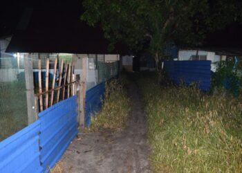 SEORANG lelaki dipercayai maut selepas ditetak rakan serumahnya gara-gara telefon bimbit di sebuah rumah di Jalan Pak Abu, Kampung Telaga Air, Butterworth, Pulau Pinang malam tadi.