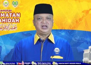 TUANKU SYED FAIZUDDIN PUTRA JAMALULLAIL