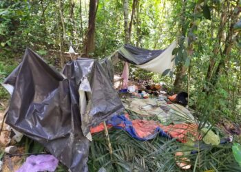 SEBUAH pondok yang menjadi lokasi pengedar dan penagih dadah diserbu oleh polis di sebuah ladang sawit di Felda Sungai Koyan di Lipis, Pahang. - GAMBAR IHSAN IPD LIPIS