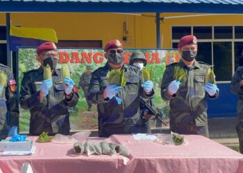 AZHAR HASHIM (tiga dari kiri) menunjukkan daun ketum yang dirampas di sebuah kebun getah di Wang Kelian dalam sidang akhbar Op Benteng Kawalan Sempadan Darat Malaysia Thailand di Pos BKC7, Padang Besar, Perlis hari ini.- UTUSAN/NAZLINA NADZARI