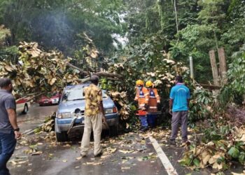 SEBUAH kenderaan pacuan empat roda dihempap sebatang pokok yang tumbang dalam kejadian di Batu 1, Jalan Tampin-Seremban, Tampin petang tadi. - UTUSAN/NOR AINNA HAMZAH