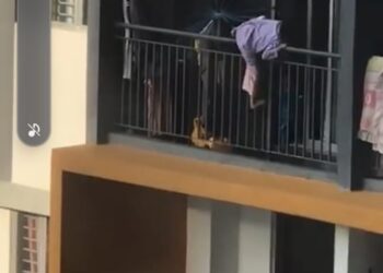 CAP menggesa KPKT mengambil langkah segera dalam membendung insiden kemalangan membabitkan kanak-kanak yang terjatuh dari beranda.