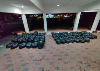 SEJUMLAH daun ketum yang dirampas selepas tangkapan terhadap tiga orang lelaki di Taman Desa Penarikan, Bahau, Jempol, malam tadi.