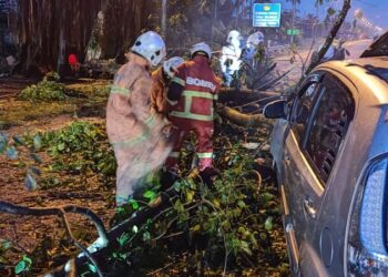 PASUKAN bomba mengalihkan pokok ketapang yang tumbang menimpa sebuah kereta Perodua Myvi di Batu 1 Jalan Kapar-Kuala Selangor, Klang, Selangor pagi tadi.