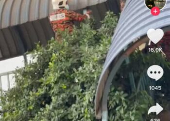 TANGKAP LAYAR video aksi Bomba menyelamatkan seorang lelaki berada di atas bumbung jejambat.