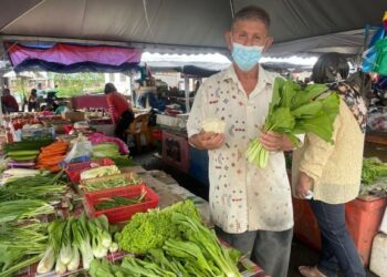 CHO PO HUAT menunjukkan sayur sawi dan bunga kubis iaitu antara sayur-sayuran yang mengalami kenaikan harga kebelakangan ini di Pasar Kuala Perlis, Perlis hari ini.– UTUSAN/NAZLINA NADZARI.
