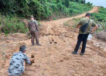 ABDUL JALIL Abd. Rahman (duduk) bersama dua penduduk merakamkan gambar ketulan najis gajah liar di sebatang jalan kampung berdekatan Kampung Kuala Sat di Jerantut, Pahang.