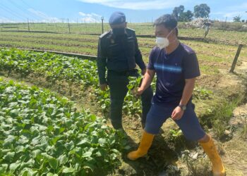 ANGGOTA penguat kuasa KPDNHEP Johor turut membuat pemeriksaan di kebun sayur bagi menangani isu kenaikan harga bekalan itu di Johor.