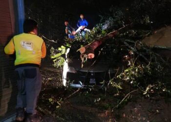 ANGGOTA APM dan JKR sedang memotong pokok untuk mengeluarkan kenderaan yang tertimbus dalam kejadian tanah runtuh di Brinchang, Cameron Highlands, Pahang. - FOTO/IHSAN APM PAHANG
