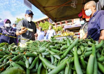 HASNOL Zam Zam Ahmad ketika melawat Tapak Pasar Tani Paroi Jaya sempena Program Jualan Keluarga Malaysia Peringkat Negeri Sembilan di Seremban hari ini. - UTUSAN/MOHD. SHAHJEHAN MAAMIN
