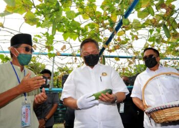 HASNI Mohammad (tengah) dan Ayub Jamil (kanan) melihat timun yang dituai ketika melawat projek rintis kebun bandar sempena Sambutan Hari Perancangan Bandar Sedunia Peringkat Negeri Johor 2021 dan Pelancaran Kebun Bandar di Taman Impian Emas, Johor Bahru. -UTUSAN/RAJA JAAFAR ALI