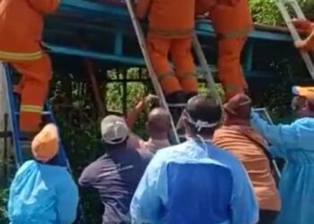 TANGKAP layar rakaman video seorang pembantu kedai yang cedera parah dan dibawa turun oleh anggota bomba setelah motosikal yang ditungggangnya bertembung dengan sebuah kereta.