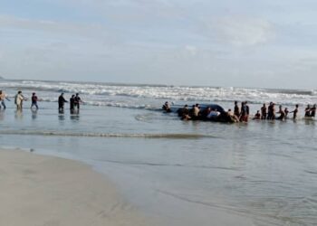 PASUKAN penyelamat berusaha untuk menterbalikkan bot yang karam di pesisiran pantai Tanjung Balau, Kota Tinggi di Johor.