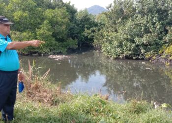 ABU Bakar Basir menunjukkan Sungai Lumut Kanan berhampiran kawasan perumahan dan kolam ternakan udang yang tercemar di Seri Manjung dekat Lumut. - UTUSAN/SHAMSUL KAMAL AMARUDIN