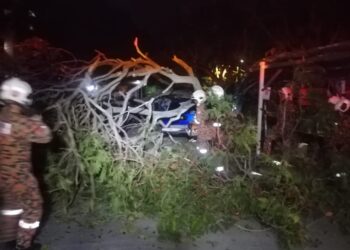 ANGGOTA Balai Bomba dan Penyelamat Bayan Baru melakukan kerja-kerja pemotongan pokok yang tumbang di Jalan Tengah, Bayan Baru, Pulau Pinang malam tadi. - IHSAN BOMBA