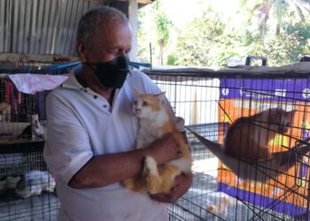 RUSLI Ibrahim mendukung kucing peliharaan seberat lebih tujuh kilogram yang dikutip dari sebuah pasar beberapa tahun lalu di Kemaman. - UTUSAN/NIK NUR IZZATUL HAZWANI NIK ADNAN